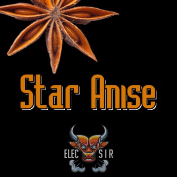 Ароматизатор ElecSir Flavors - Star Anise - 10ml