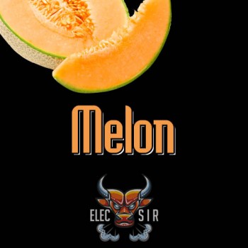 Ароматизатор ElecSir Flavors - Melon - 10ml