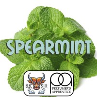 TPA - Spearmint Flavor - 10ml